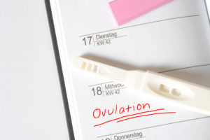 ovulation-time